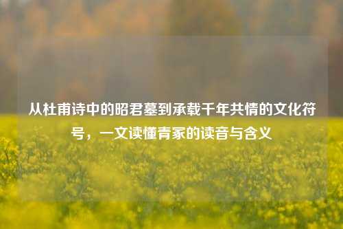从杜甫诗中的昭君墓到承载千年共情的文化符号，一文读懂青冢的读音与含义