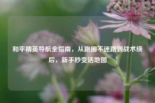 和平精英导航全指南，从跑圈不迷路到战术绕后，新手秒变活地图