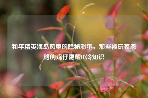 和平精英海岛风里的隐秘彩蛋,那些被玩家忽略的鸡仔隐藏ID冷知识