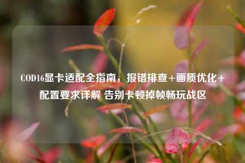 COD16显卡适配全指南,报错排查+画质优化+配置要求详解 告别卡顿掉帧畅玩战区