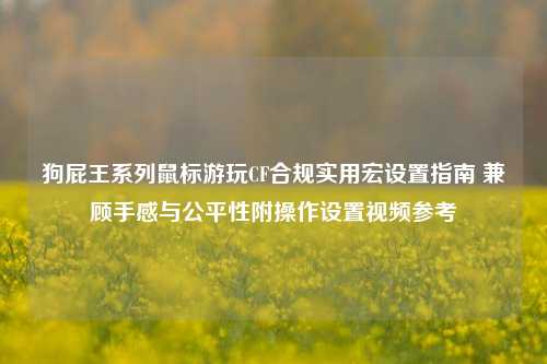 狗屁王系列鼠标游玩CF合规实用宏设置指南 兼顾手感与公平性附操作设置视频参考