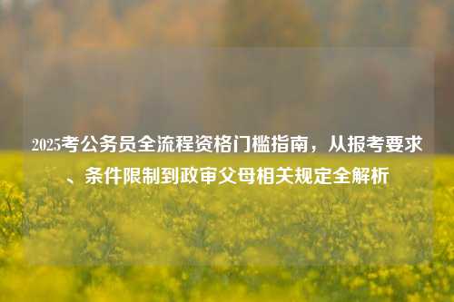 2025考公务员全流程资格门槛指南，从报考要求、条件限制到政审父母相关规定全解析
