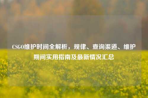 CSGO维护时间全解析,规律、查询渠道、维护期间实用指南及最新情况汇总