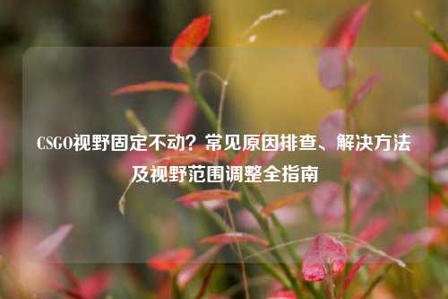CSGO视野固定不动?常见原因排查、解决方法及视野范围调整全指南