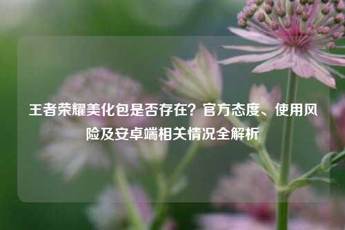 王者荣耀美化包是否存在?官方态度、使用风险及安卓端相关情况全解析