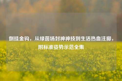 倒挂金钩，从绿茵场封神神技到生活热血注脚，附标准姿势示范全集