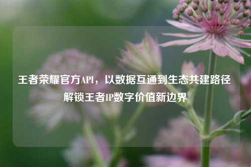 王者荣耀官方API,以数据互通到生态共建路径 解锁王者IP数字价值新边界