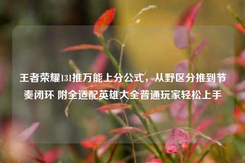 王者荣耀131推万能上分公式，从野区分推到节奏闭环 附全适配英雄大全普通玩家轻松上手