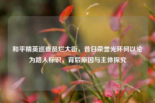 和平精英巡查员烂大街,昔日荣誉光环何以沦为路人标识,背后原因与主体探究