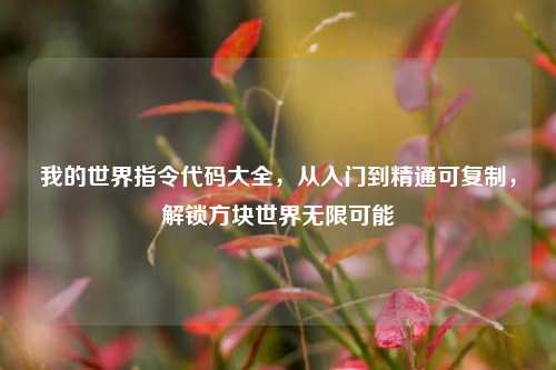 我的世界指令代码大全,从入门到精通可复制,解锁方块世界无限可能
