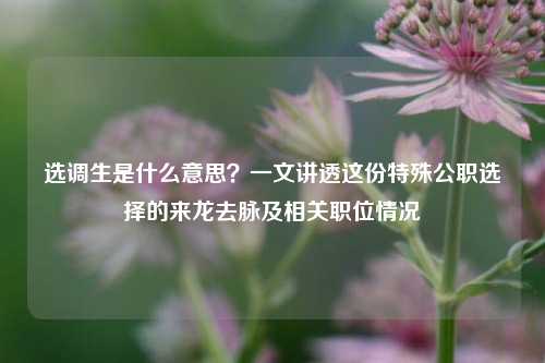 选调生是什么意思？一文讲透这份特殊公职选择的来龙去脉及相关职位情况