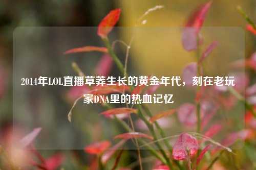 2014年LOL直播草莽生长的黄金年代，刻在老玩家DNA里的热血记忆
