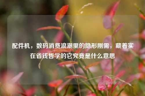 配件机，数码消费浪潮里的隐形刚需，藏着实在省钱哲学的它究竟是什么意思