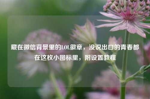 藏在微信背景里的LOL徽章，没说出口的青春都在这枚小图标里，附设置教程
