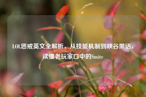 LOL惩戒英文全解析，从技能机制到峡谷黑话，读懂老玩家口中的Smite