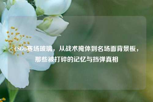 CSGO赛场玻璃，从战术掩体到名场面背景板，那些被打碎的记忆与挡弹真相