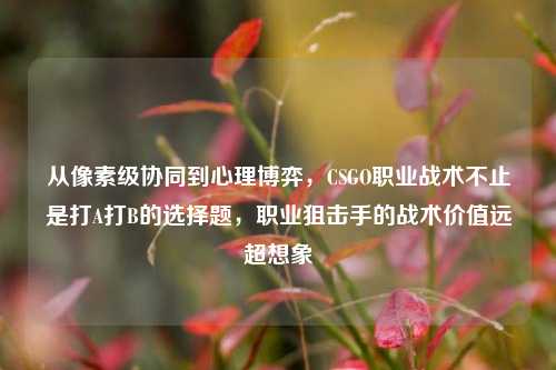 从像素级协同到心理博弈，CSGO职业战术不止是打A打B的选择题，职业狙击手的战术价值远超想象