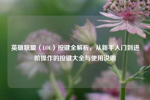 英雄联盟（LOL）按键全解析，从新手入门到进阶操作的按键大全与使用说明