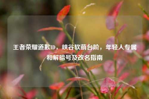 王者荣耀道歉ID,峡谷软萌台阶,年轻人专属和解暗号及改名指南