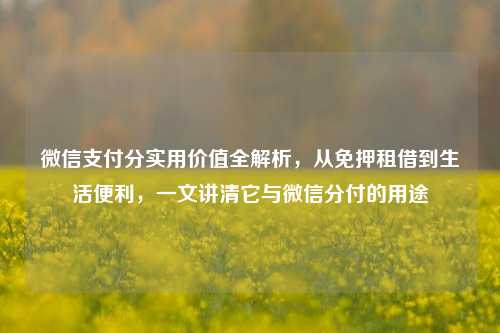 微信支付分实用价值全解析,从免押租借到生活便利,一文讲清它与微信分付的用途