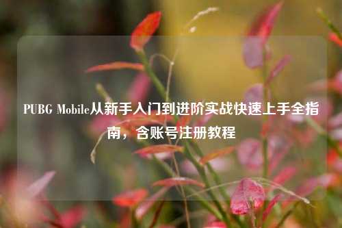 PUBG Mobile从新手入门到进阶实战快速上手全指南,含账号注册教程