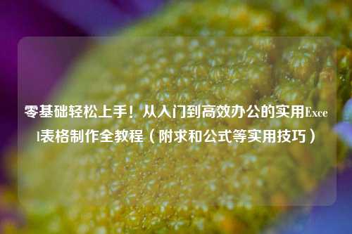 零基础轻松上手！从入门到高效办公的实用Excel表格制作全教程（附求和公式等实用技巧）