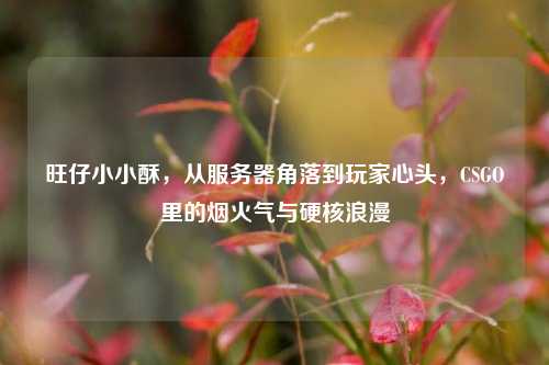 旺仔小小酥,从服务器角落到玩家心头,CSGO里的烟火气与硬核浪漫