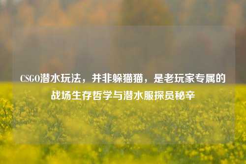 CSGO潜水玩法,并非躲猫猫,是老玩家专属的战场生存哲学与潜水服探员秘辛