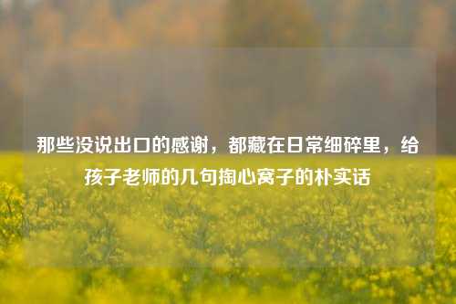 那些没说出口的感谢，都藏在日常细碎里，给孩子老师的几句掏心窝子的朴实话