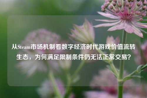 从Steam市场机制看数字经济时代游戏价值流转生态,为何满足限制条件仍无法正常交易?
