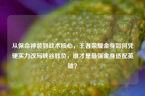 从保命神装到战术核心，王者荣耀金身如何凭硬实力改写峡谷胜负，谁才是最强金身适配英雄？