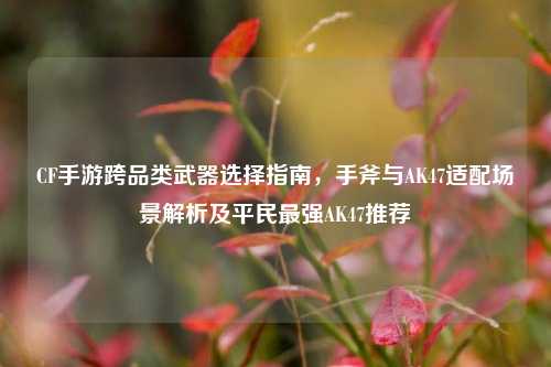 CF手游跨品类武器选择指南，手斧与AK47适配场景解析及平民最强AK47推荐