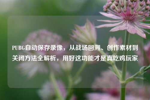 PUBG自动保存录像,从战场回溯、创作素材到关闭方法全解析,用好这功能才是真吃鸡玩家