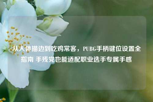 从人体描边到吃鸡常客,PUBG手柄键位设置全指南 手残党也能适配职业选手专属手感