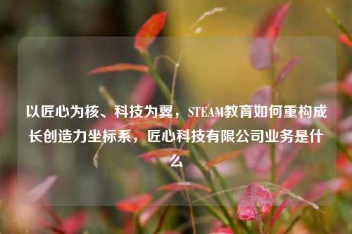 以匠心为核、科技为翼,STEAM教育如何重构成长创造力坐标系,匠心科技有限公司业务是什么