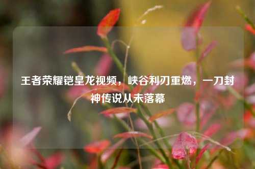 王者荣耀铠皇龙视频,峡谷利刃重燃,一刀封神传说从未落幕