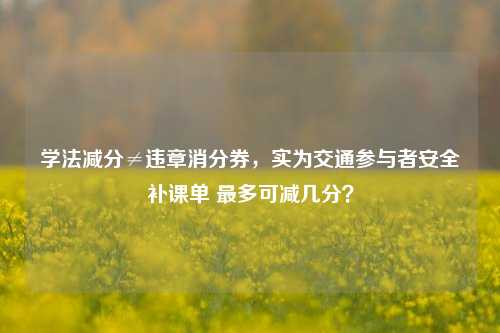学法减分≠违章消分券,实为交通参与者安全补课单 最多可减几分?