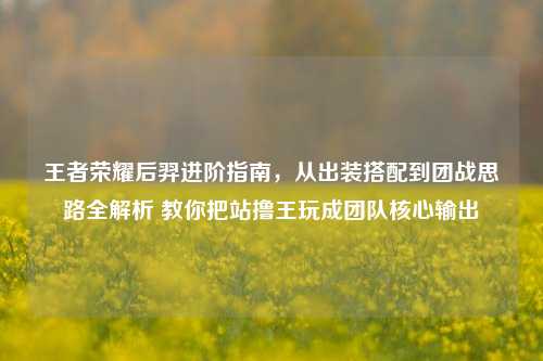 王者荣耀后羿进阶指南,从出装搭配到团战思路全解析 教你把站撸王玩成团队核心输出