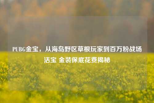 PUBG金宝，从海岛野区草根玩家到百万粉战场活宝 金装保底花费揭秘