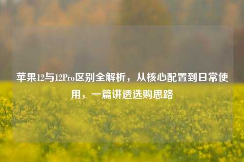 苹果12与12Pro区别全解析,从核心配置到日常使用,一篇讲透选购思路