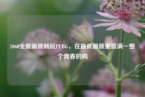 1060全低画质畅玩PUBG，在最低画质里捡满一整个青春的鸡