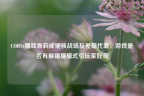 COD16猫耳查莉成硬核战场反差萌代表,游戏是否有躲猫猫模式引玩家好奇