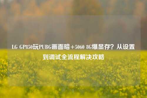 LG GP850玩PUBG画面暗+5060 8G爆显存?从设置到调试全流程解决攻略
