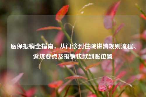 医保报销全指南，从门诊到住院讲清规则流程、避坑要点及报销钱款到账位置