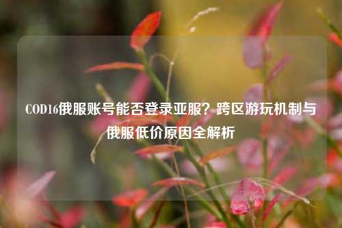 COD16俄服账号能否登录亚服?跨区游玩机制与俄服低价原因全解析
