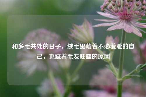 和多毛共处的日子,绒毛里藏着不必羞耻的自己,也藏着毛发旺盛的原因