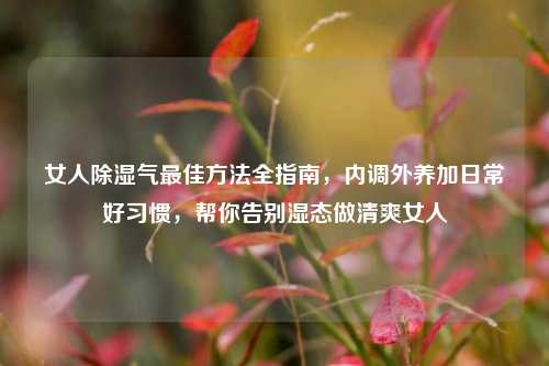 女人除湿气最佳方法全指南，内调外养加日常好习惯，帮你告别湿态做清爽女人