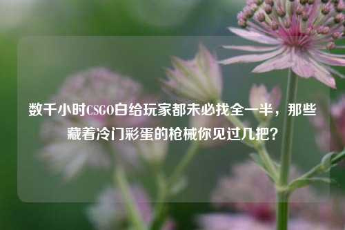 数千小时CSGO白给玩家都未必找全一半,那些藏着冷门彩蛋的枪械你见过几把?