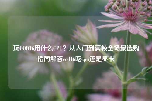 玩COD16用什么CPU？从入门到满帧全场景选购指南解答cod16吃cpu还是显卡