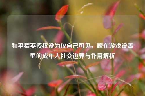 和平精英授权设为仅自己可见,藏在游戏设置里的成年人社交边界与作用解析